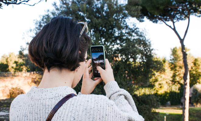 Person taking photo of a tree with a smartphone 