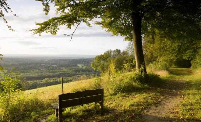 A bench under a tree sits in front of a view across woods and farmland.